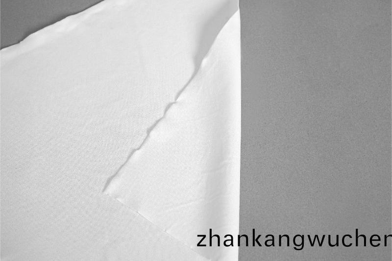 直紋滌(di)綸(lun)無塵佈細節(jie)圖(tu)