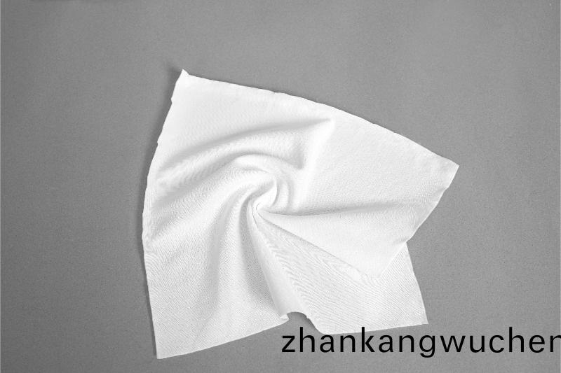 直紋(wen)滌綸(lun)無塵(chen)佈
