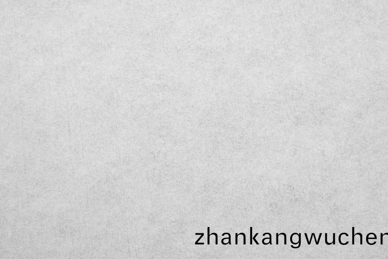 0609(005)係(xi)列無(wu)塵紙(zhi)放(fang)大(da)細節