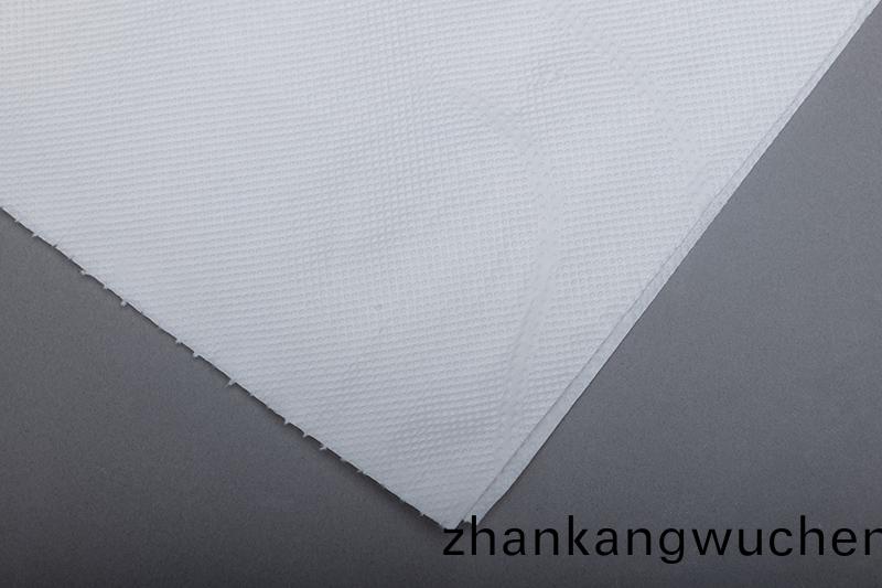 P2203 L2標(biao)準擦(ca)拭紙(zhi) 細節圖(tu)